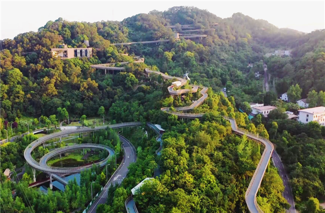 创世大发集团荣获两项国家级协会工程建设科学技术奖！